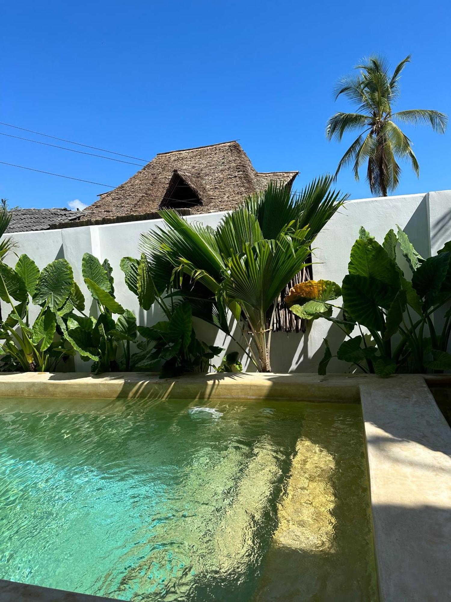 Mlango Paje Villa Boutique Exterior foto
